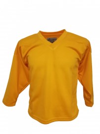 dzeltens1_13-1667822023